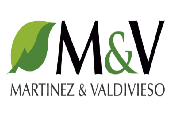 Martínez y Valdivieso S.A.