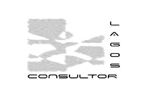 Erik Alfonso Lagos Montoya Consultor Erik Alfonso Lagos Montoya Consultor