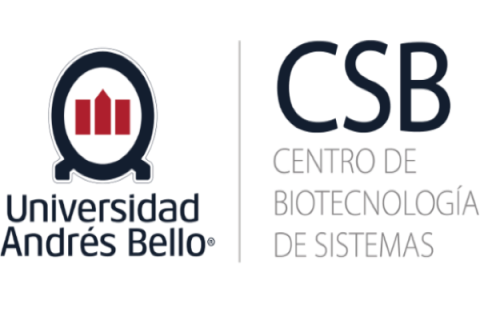 UNIVERSIDAD NACIONAL ANDRES BELLO UNIVERSIDAD NACIONAL ANDRES BELLO