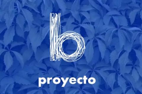 Fundación Proyecto B Fundación Proyecto B