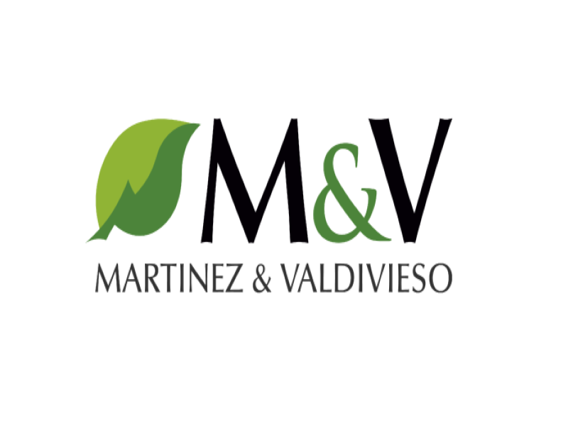 Martínez y Valdivieso S.A.