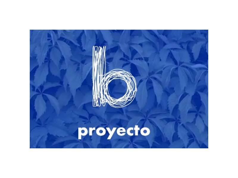 Fundación Proyecto B