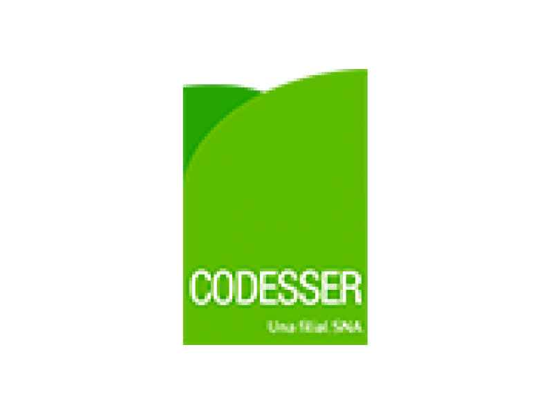 Logo Codesser