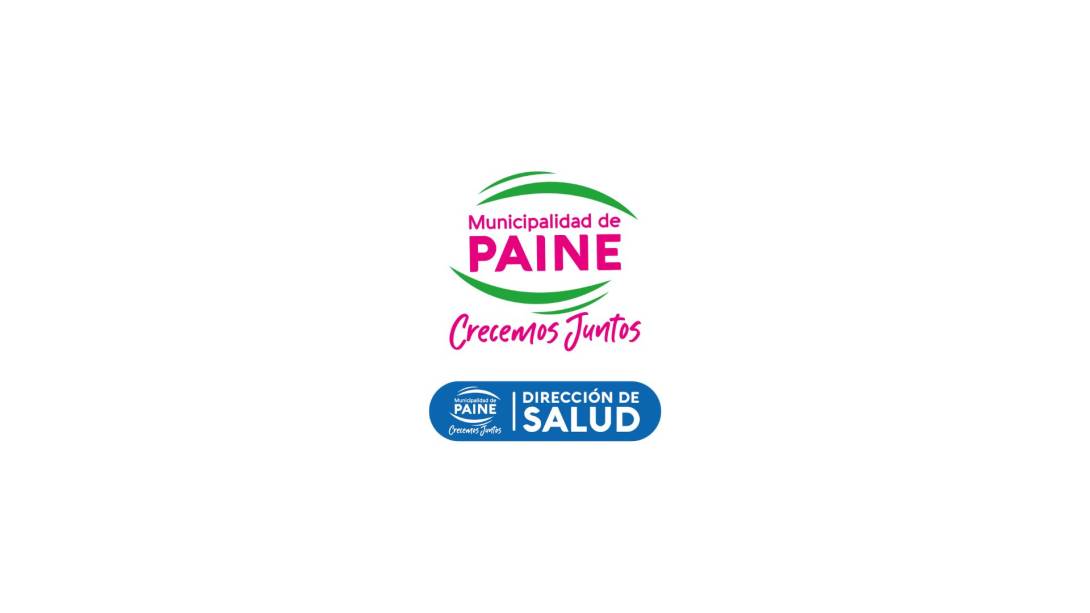 logo paine