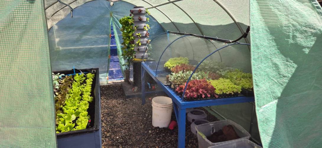 El dispositivo Opuma, creado con impresión 3D, que cultiva alimentos y reutiliza el agua.