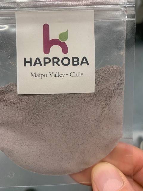 El "primer regulador glicémico" para diabéticos a base de harina de orujo de uva es una de sus innovaciones, la que busca mejorar la calidad de vida de millones de personas.